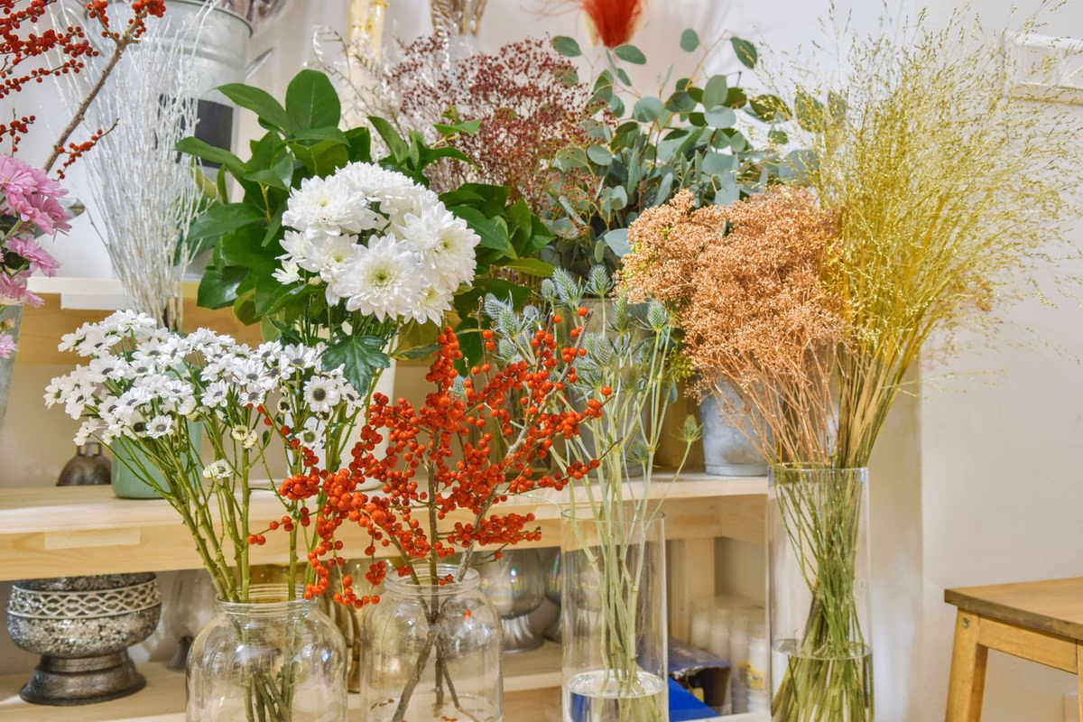 dsc_0678.jpg dsc_0678